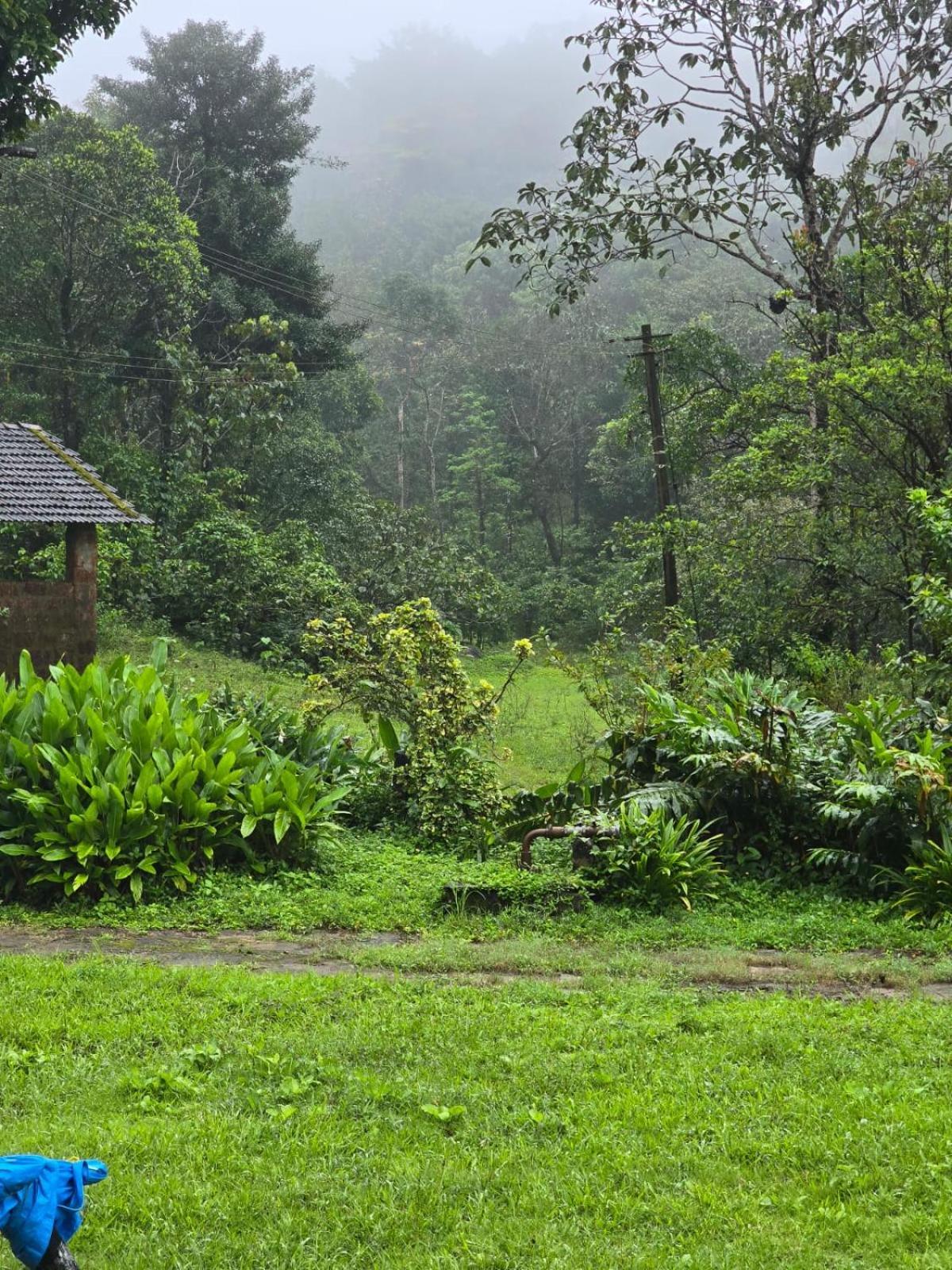 Highland Estate Hotel Sakleshpur Exterior photo